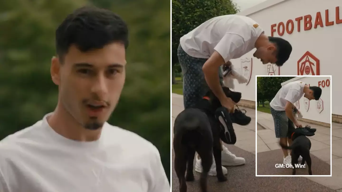 Footage of Arsenal's training ground dog has finally emerged, It makes so much sense