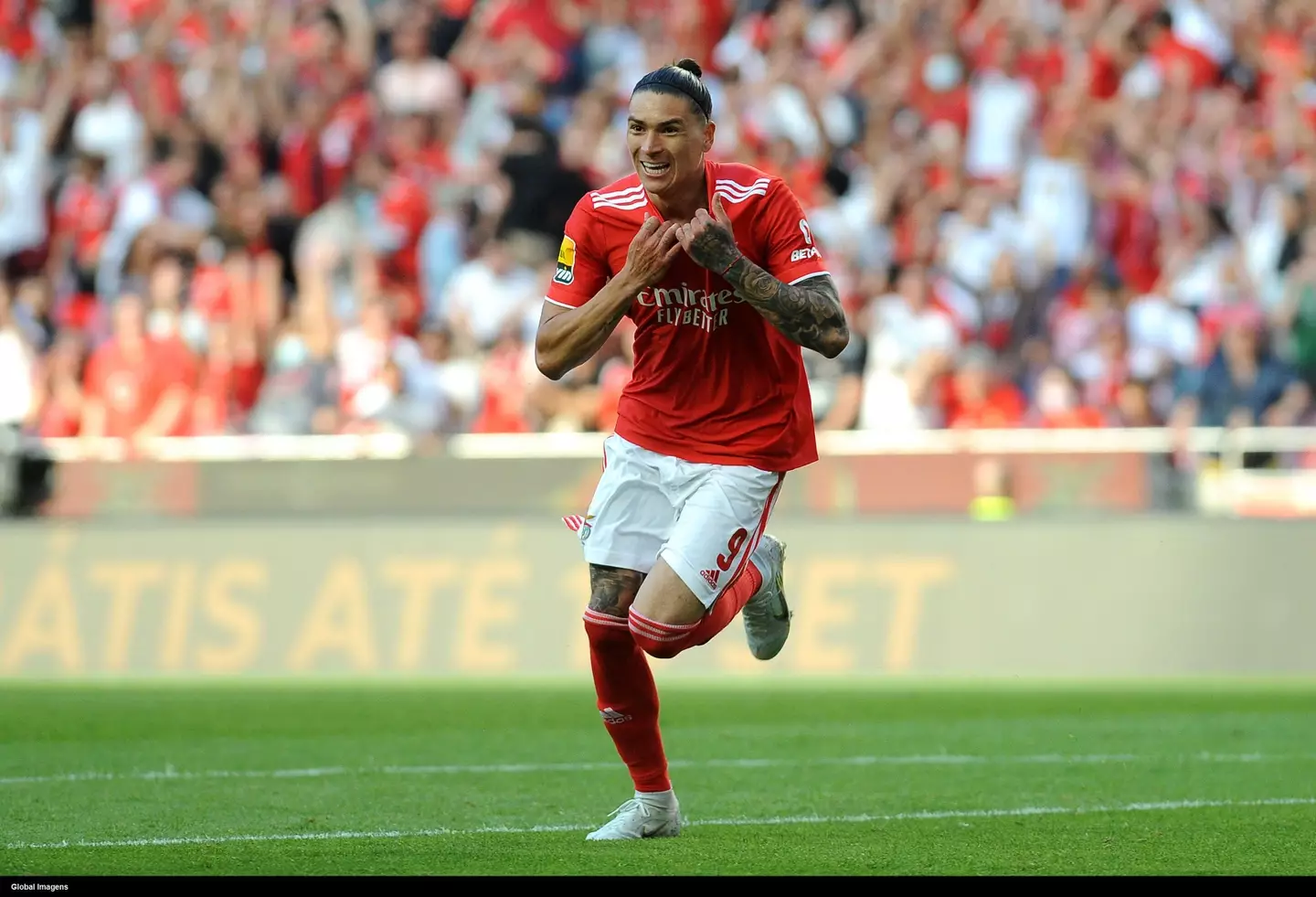 Nunez is expected to sign for Liverpool. Image: Alamy