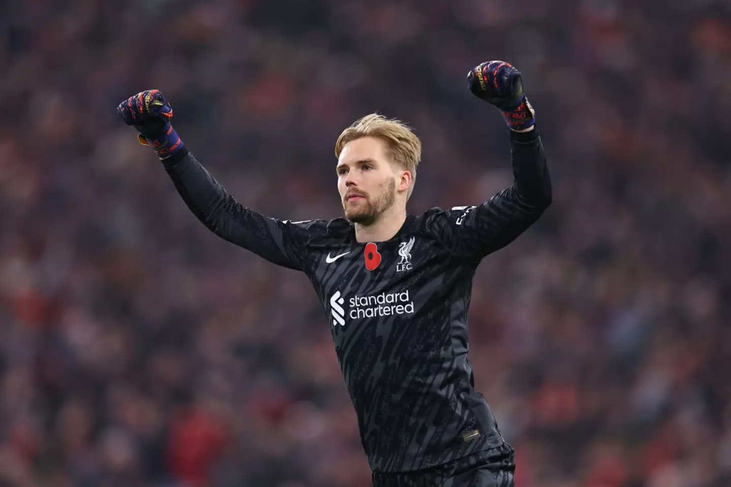 Caoimhin Kelleher has made 55 senior appearances for Liverpool. (Image: Getty)