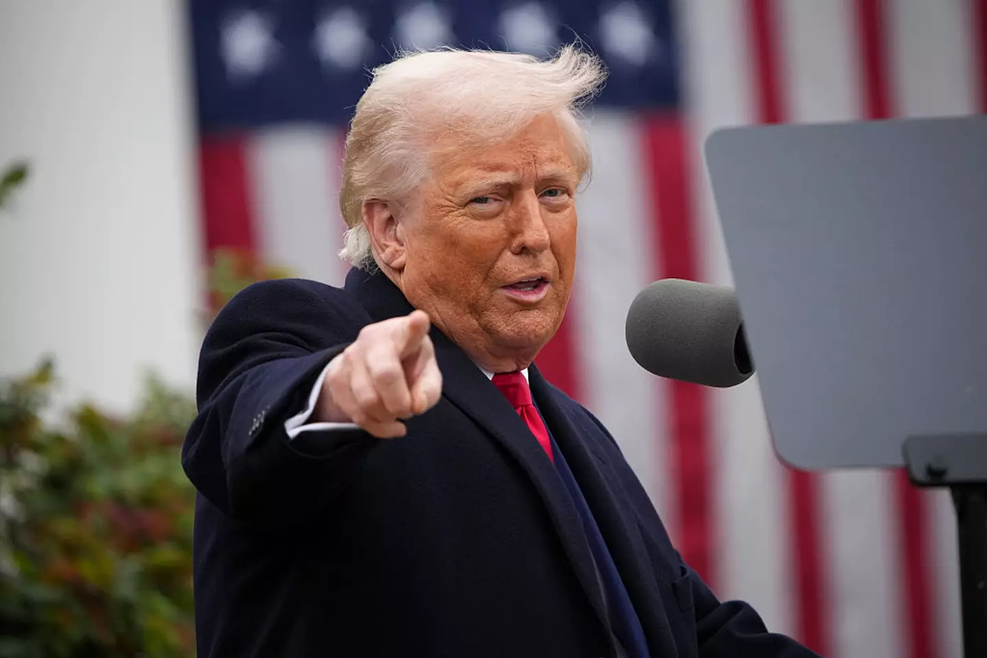Trump has put a series of tariffs in place on importation (Andrew Harnik/Getty Images)