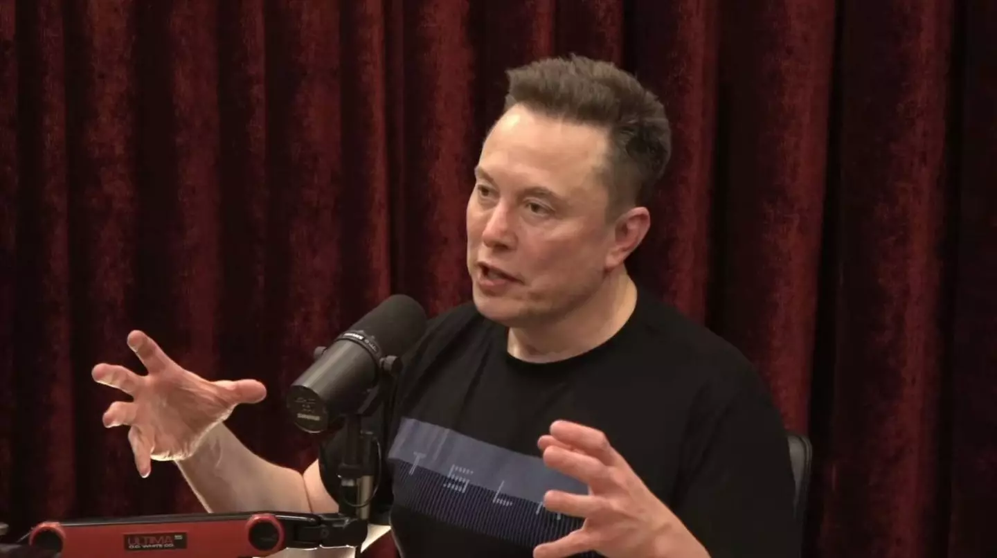 Even experts are concerned about Musk's health (YouTube / The Joe Rogan Experience)