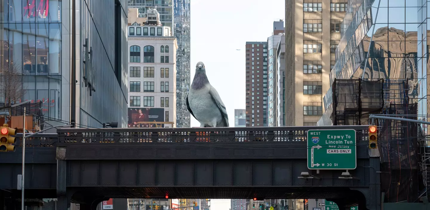 The installation called 'Dinosaur' is of impressive size (High Line / Ivan Argote)