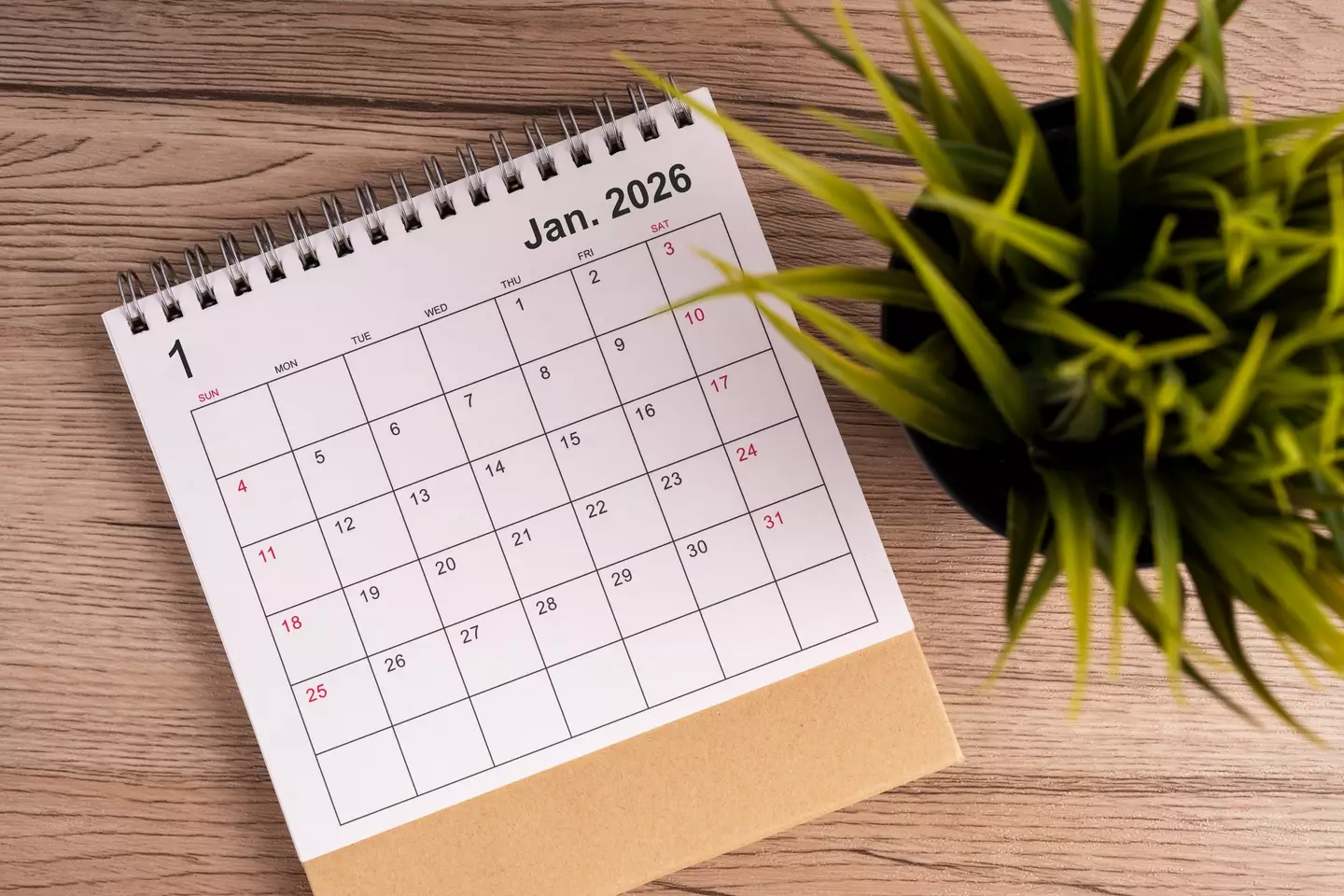 The New Year is a powerful time for manifestation (Nora Carol Photography/Getty Images)