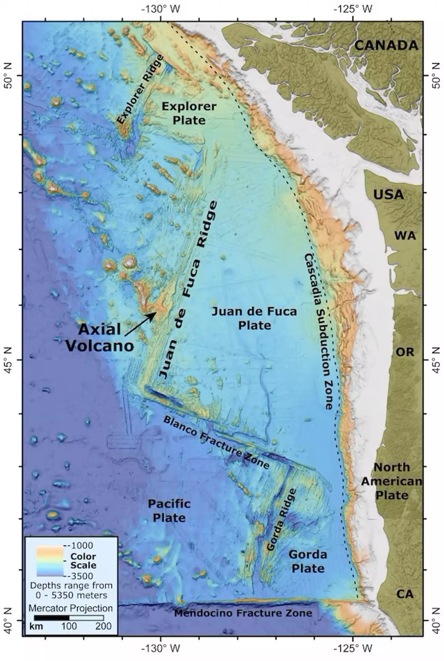 Axial Seamount is found off the coast of the Pacific Northwest, and stretches over a mile wide (Susan Merle/Oregon State University)