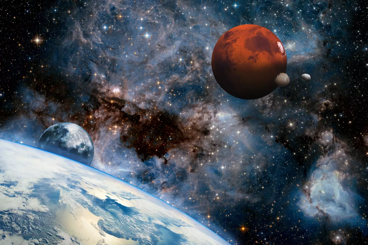 SpaceX is set to begin its Mars missions (rbkomar/Getty Images)