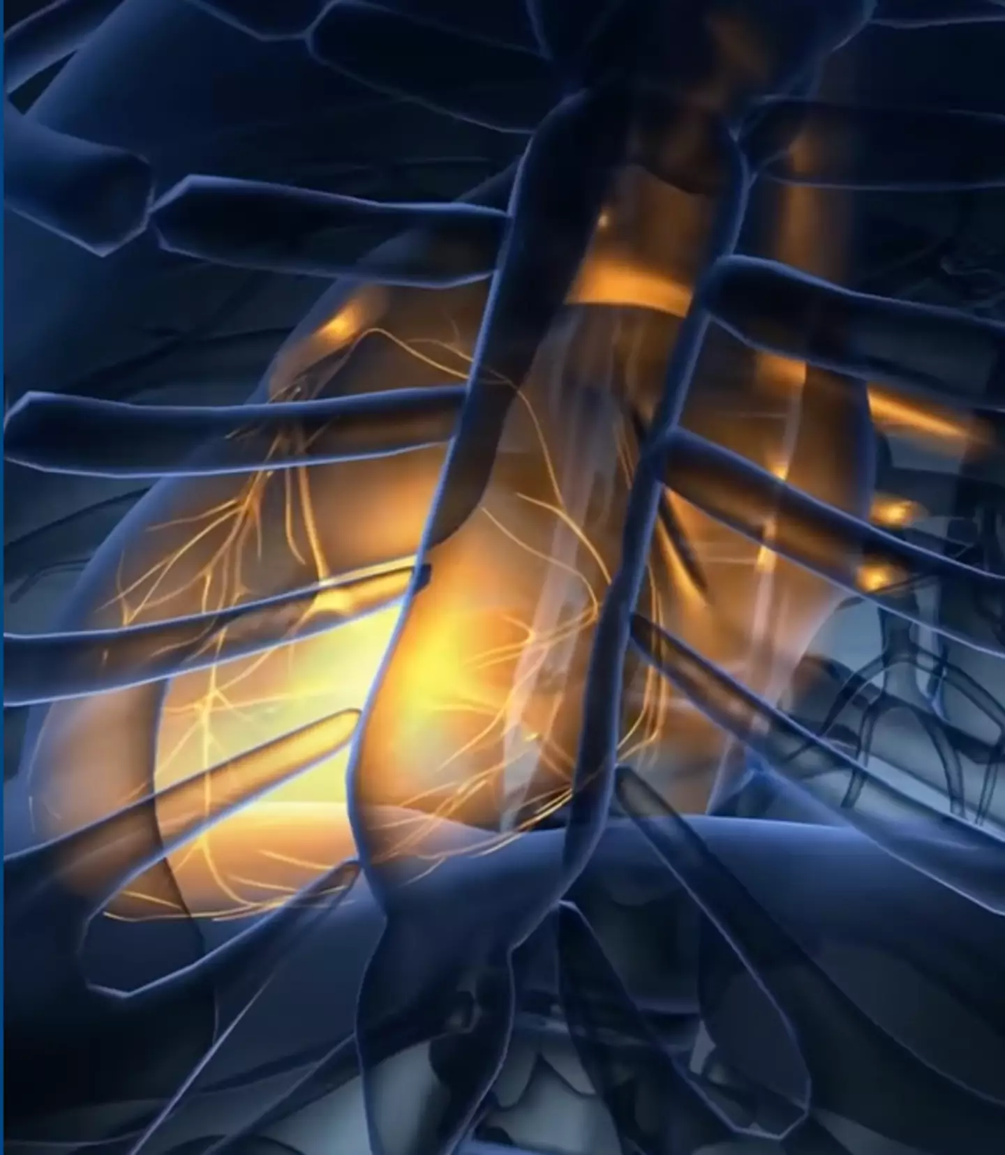 The effects of falling into Earth's largest hole are grim / What if/ YouTube