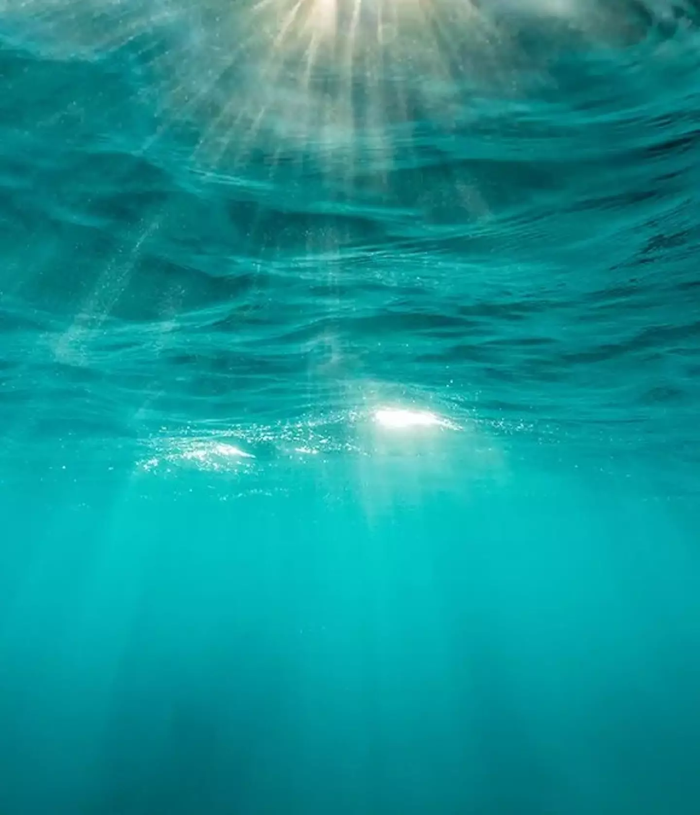 Mark Meredith / Getty