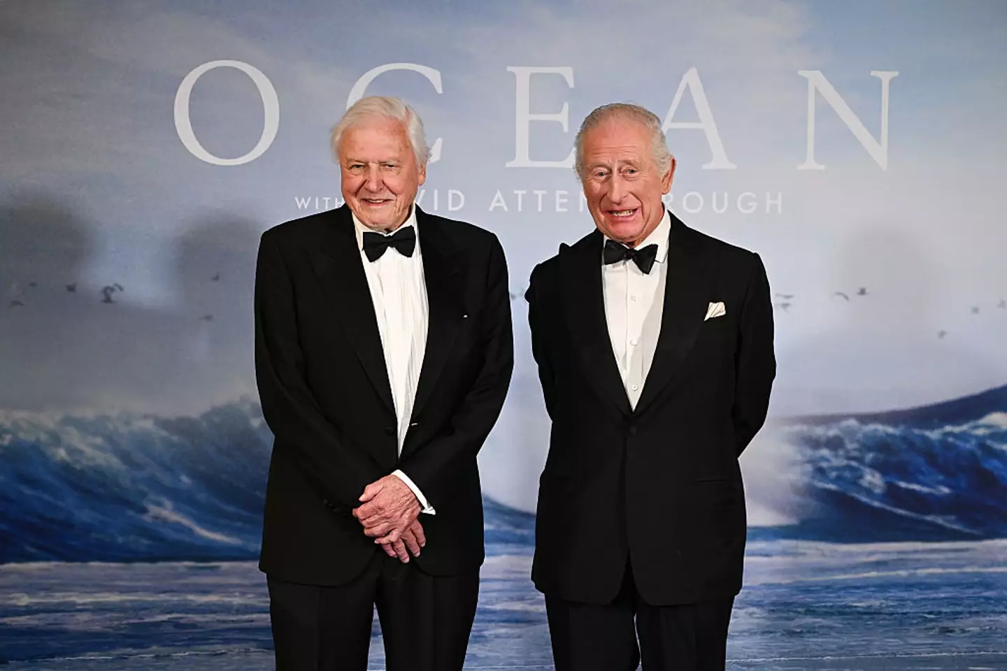 David Attenborough has issued a warned to humanity (Kate Green/Getty Images for National Geographic)