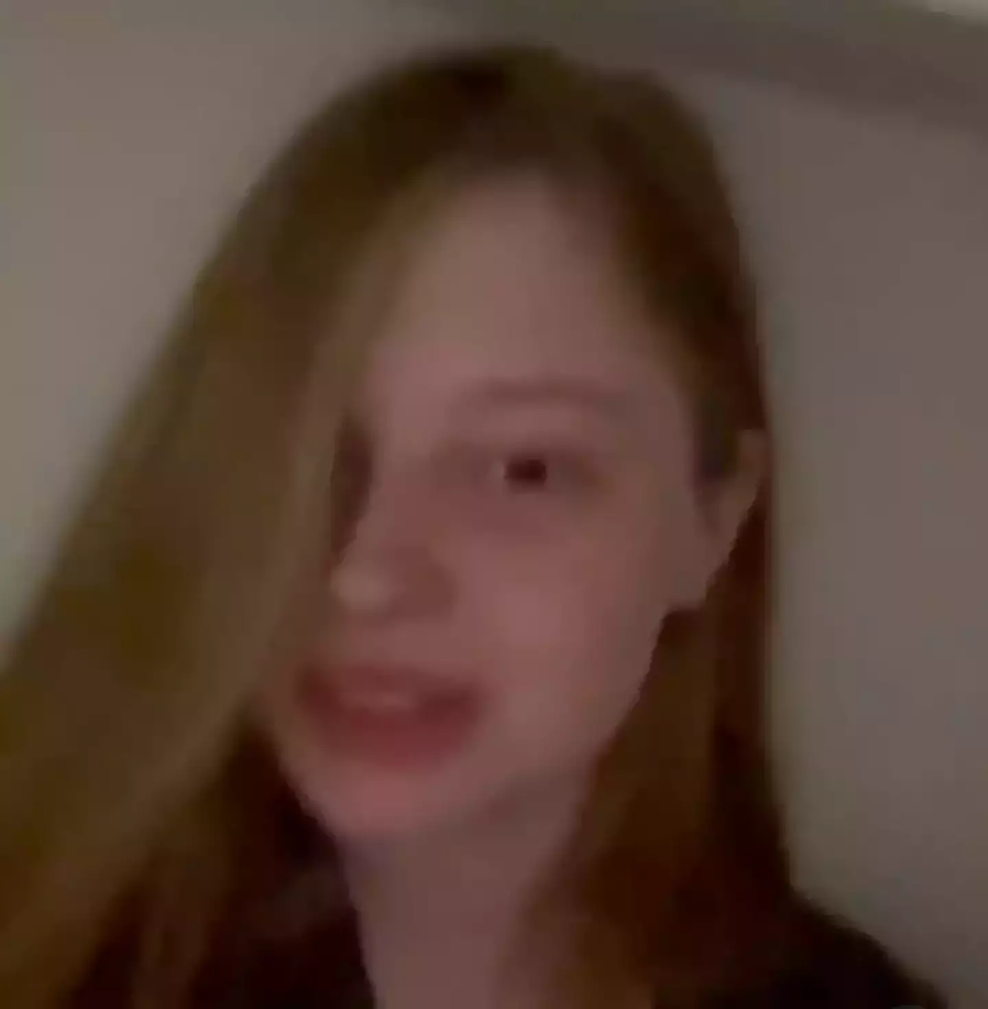 Vivian Jenna Wilson has also weighed in on the argument. (vivllanious/Threads)