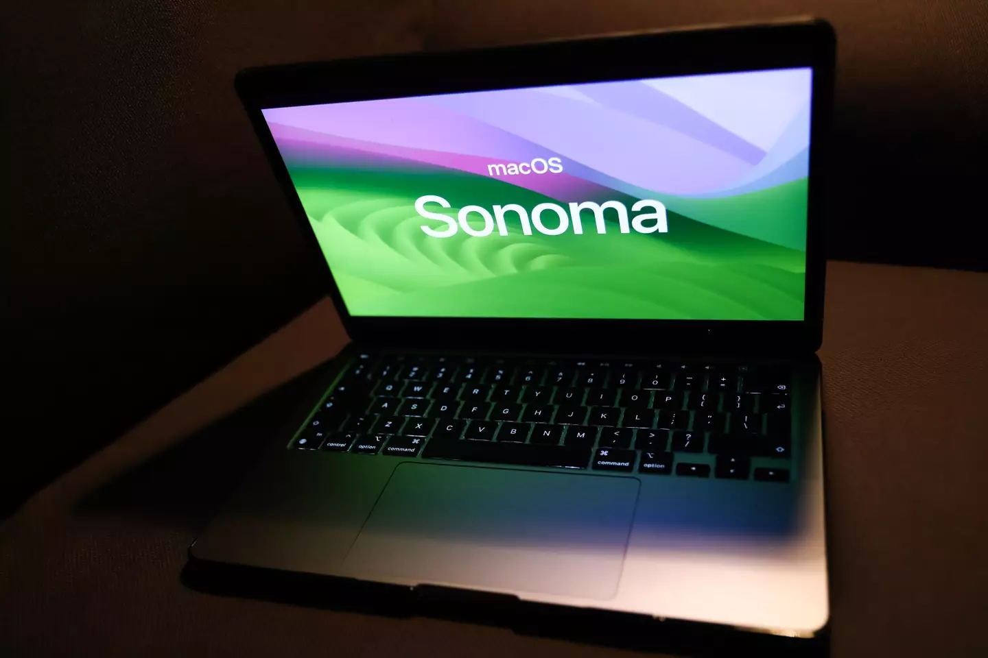 NurPhoto / Contributor / Getty Images