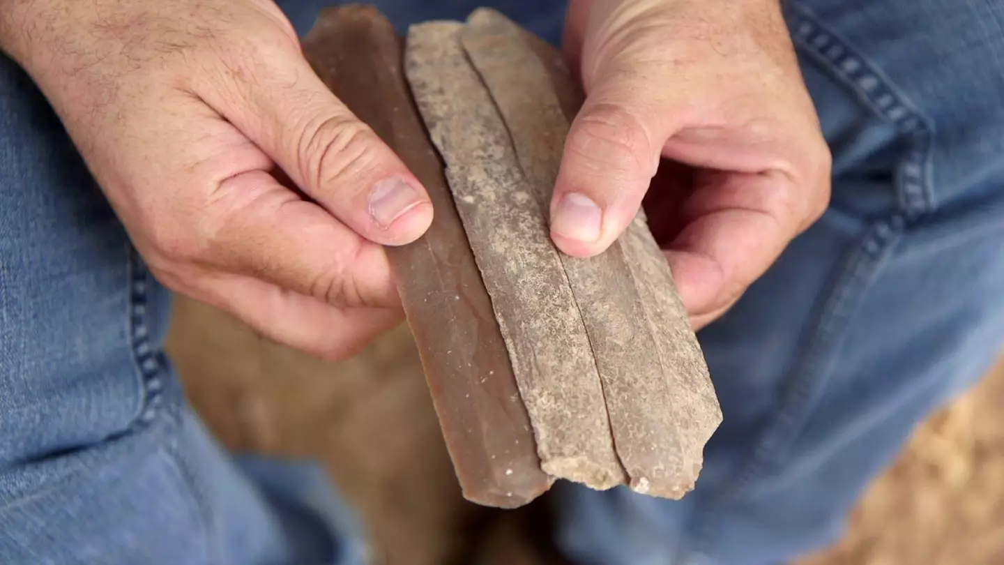 The blades are believed to have been made by the Canaanites due to their exceptional craft (Emil Aladjem / IAA)