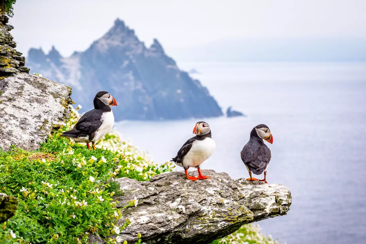 If you’ve ever wanted to escape to a remote island far, far away, now could be your chance (Marius Roman/Getty Images)