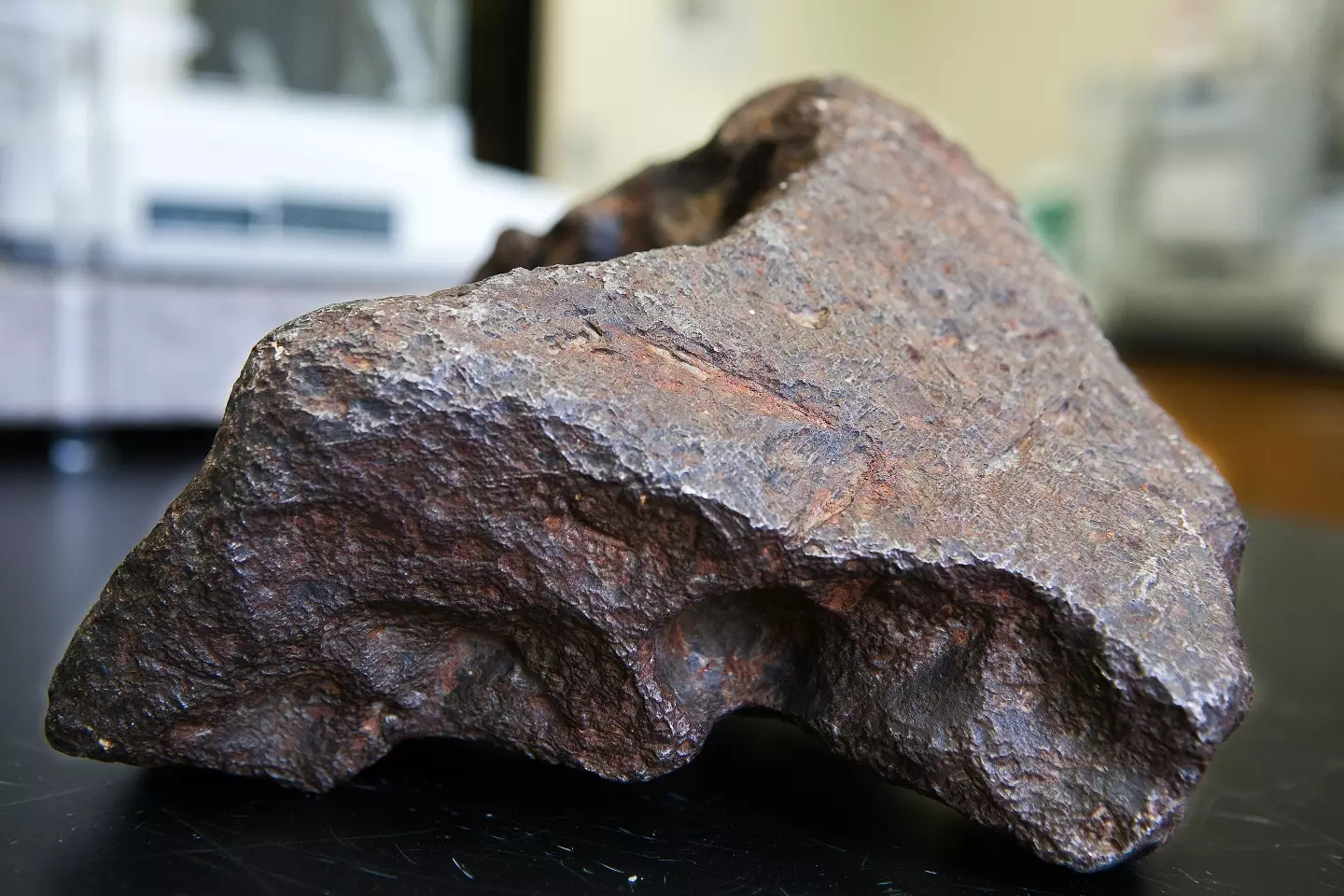 An image of the $100,000 meteorite (Mackenzie Brockman/Central Michigan University)