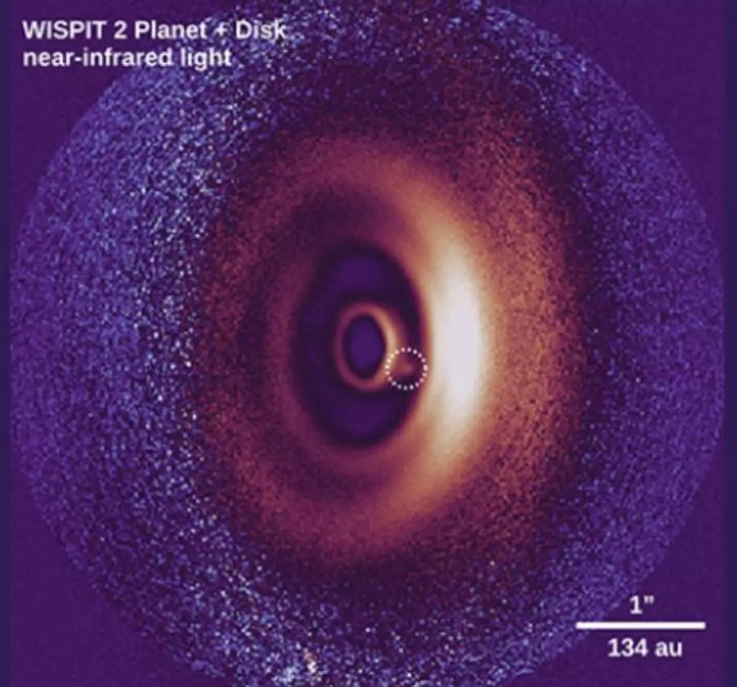 It's only the second discovery of its kind (C. Ginski / R. van Capelleveen et al.)