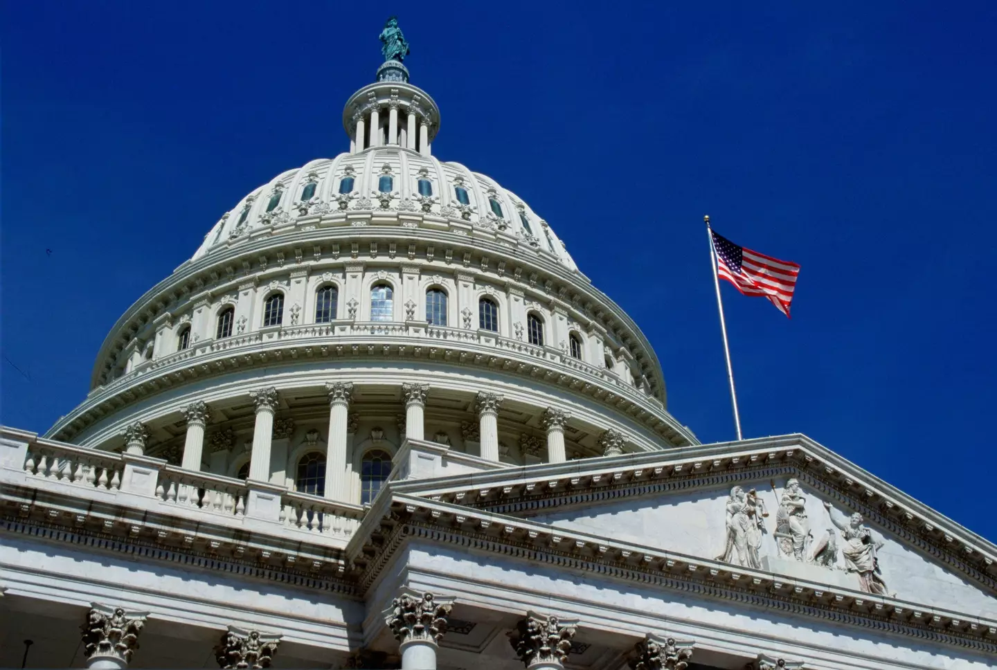 Congress failed to gain enough votes to subpoena Elon Musk (Tim Graham/Getty Images)
