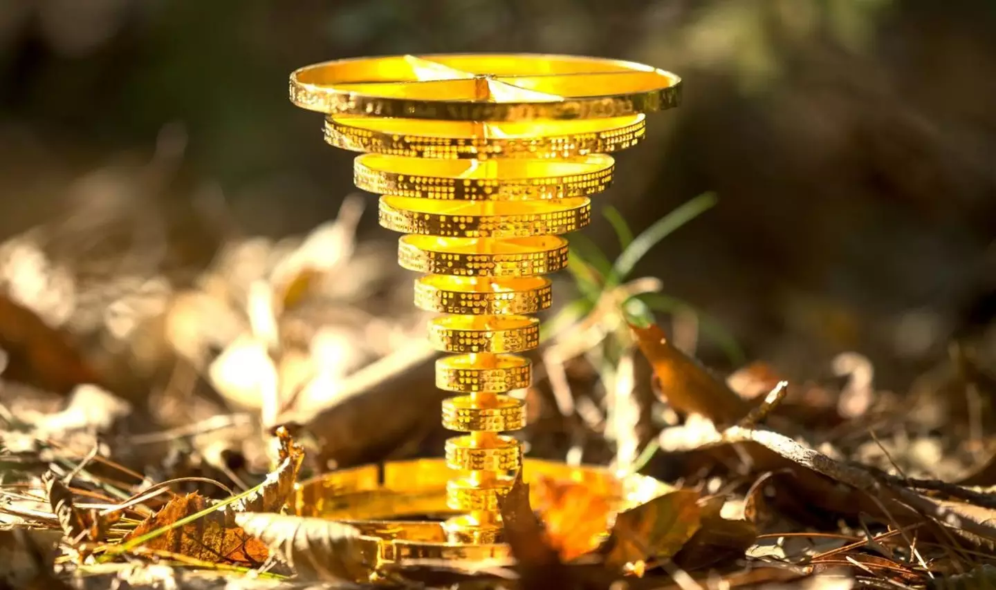 The treasure is estimated to be worth $25,000 (Project Skydrop)