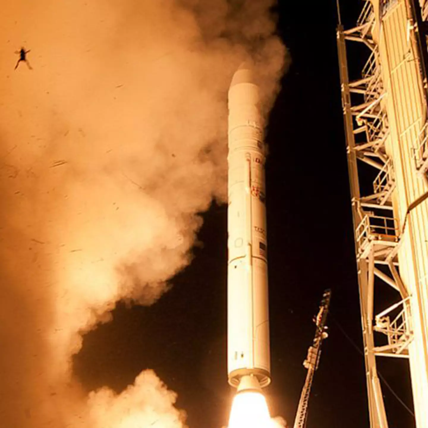 People mind-blown after spotting unlikely photo-bomber in images of NASA rocket launch