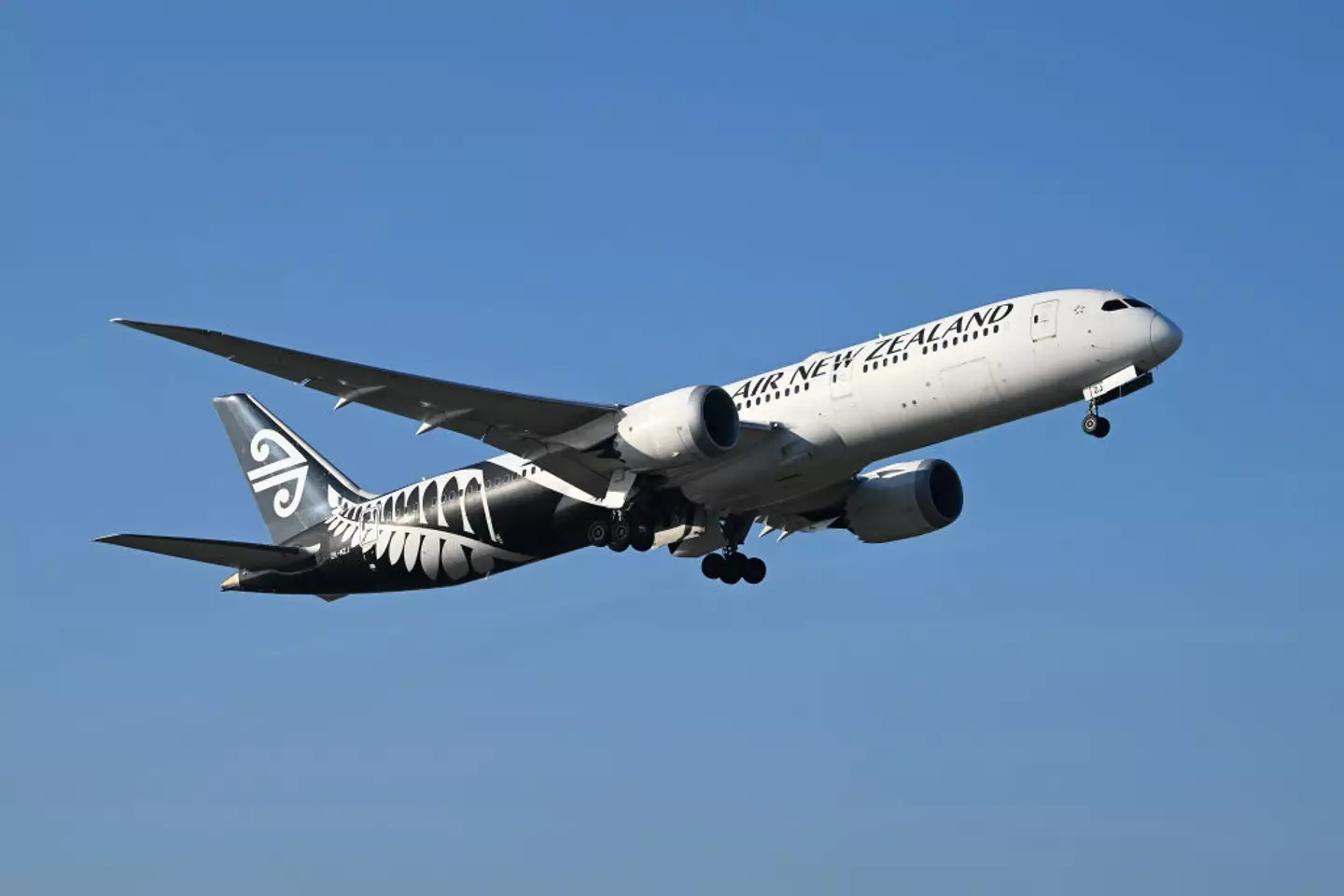 Air New Zealand has been graded as the safest full-service plane (Morgan Hancock/NurPhoto via Getty Images)