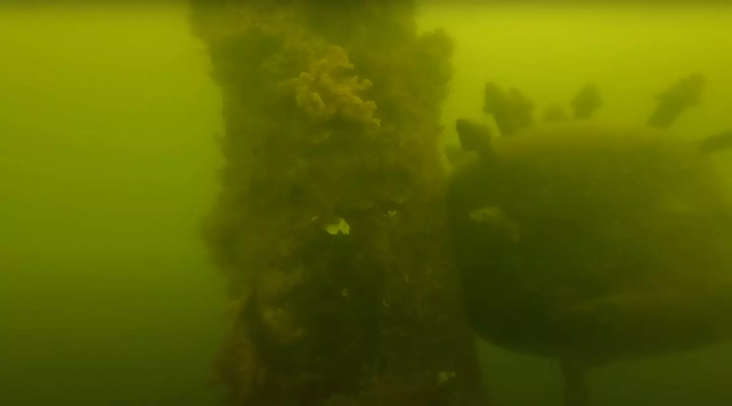 People believe the object could be a sea mine (YouTube/@DustySands)