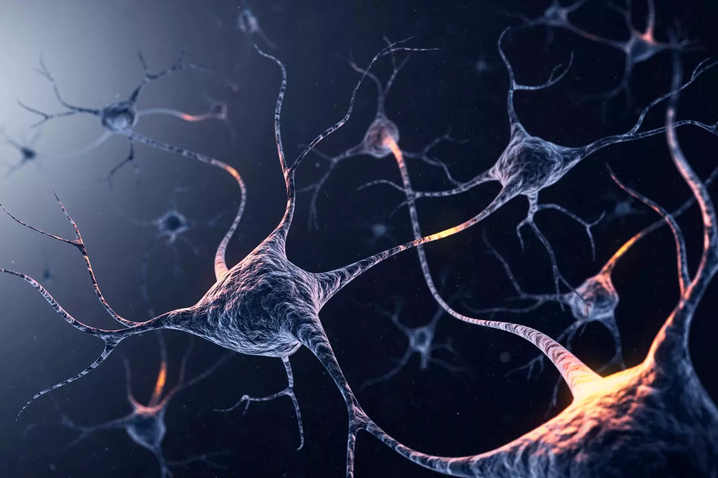 Scientists have developed a drug which inhibits the overactive production of the LRRK2 enzyme inside your brain (Getty Stock)