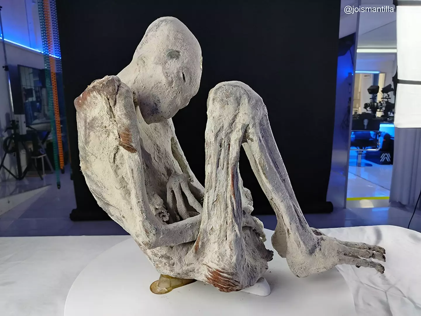 The named tridactyl named 'Montserrat' (@joismantilla/Tridactyls.org)