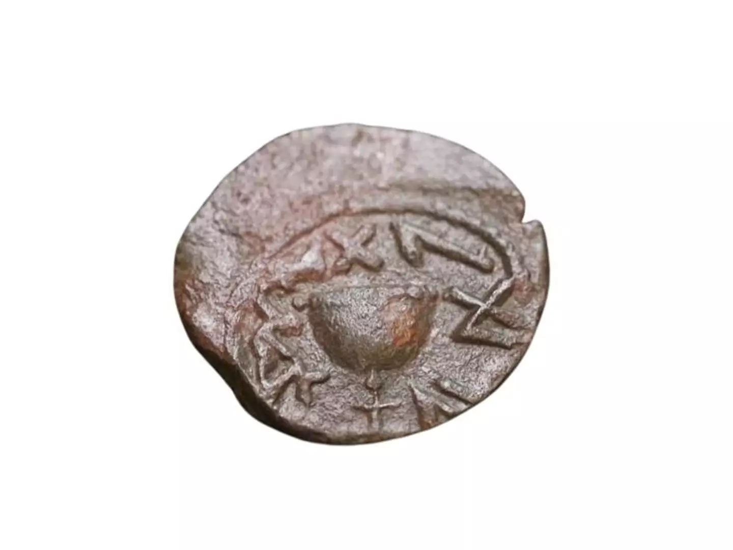 The coin is understood to be made just before the Second Temple fell amid the First Jewish-Roman War (Israel Antiquities Authority)