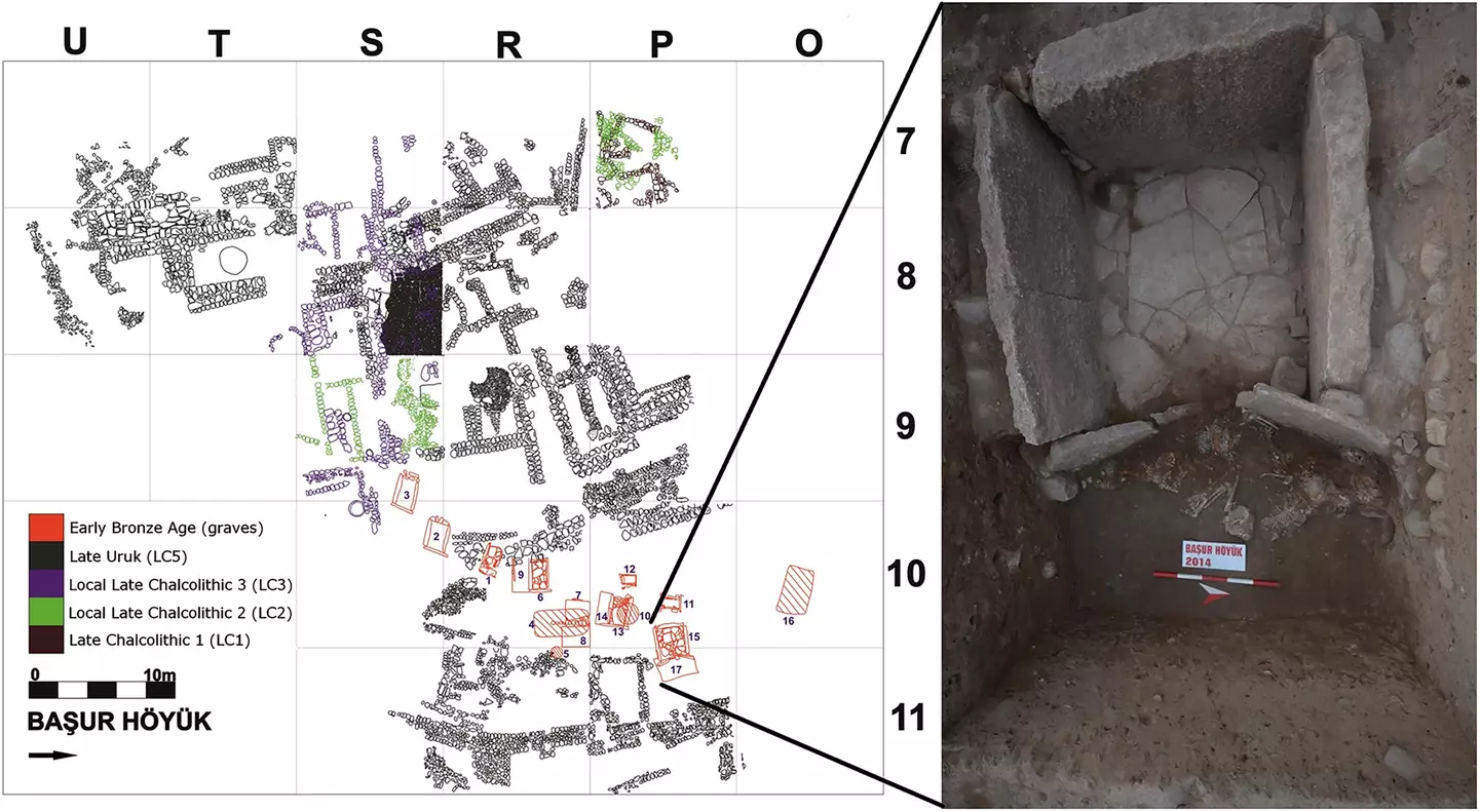 Skeletons located within the tombs have challenged the previously understood notion of royal ritualistic sacrifice ((Başur Höyük Research Project/Cambridge Archaeological Journal 2025)