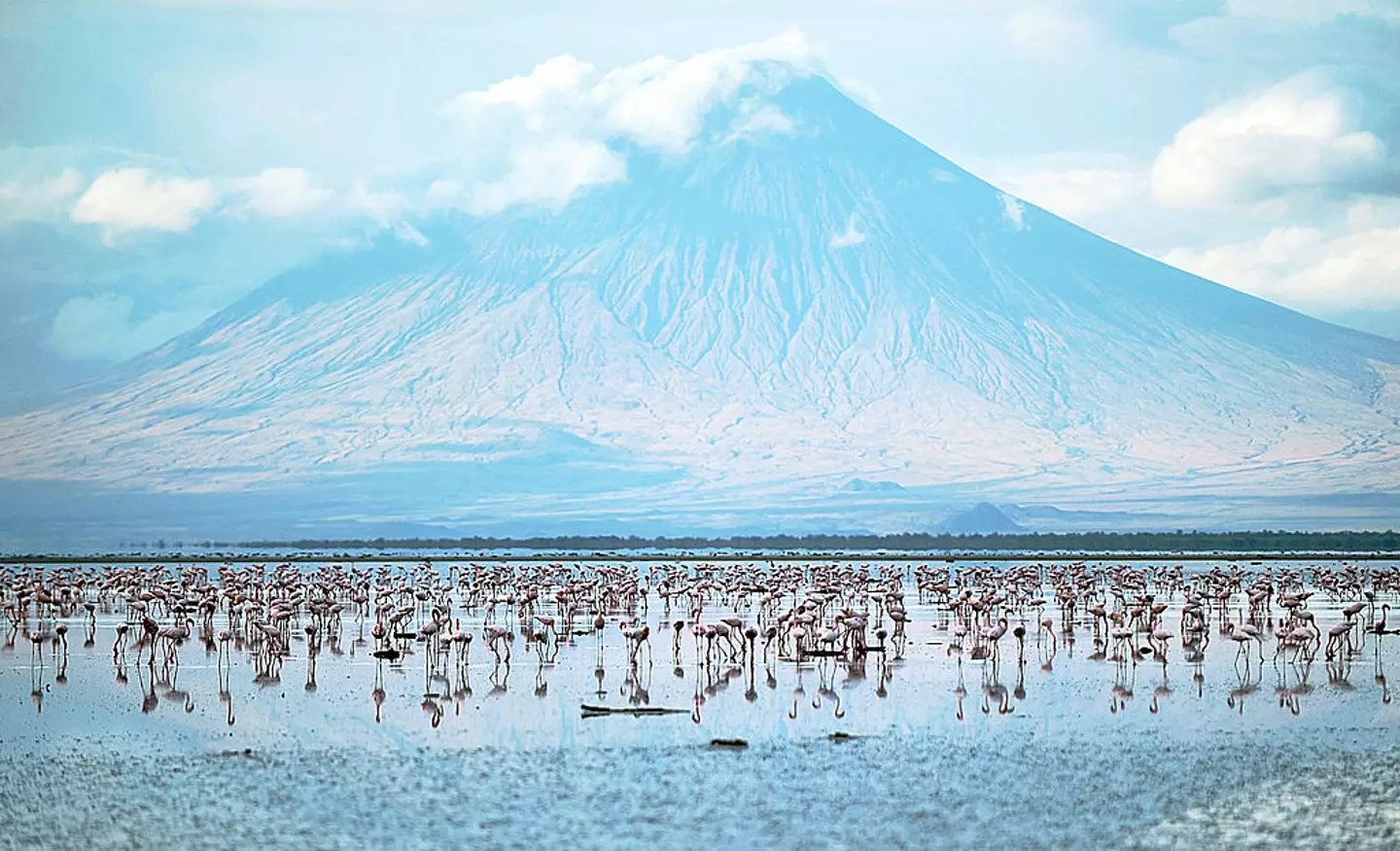 Lake Natron is stunning, but holds significant dangers that mean you're best staying clear of its waters (Tony Karumba/AFP via Getty Images)