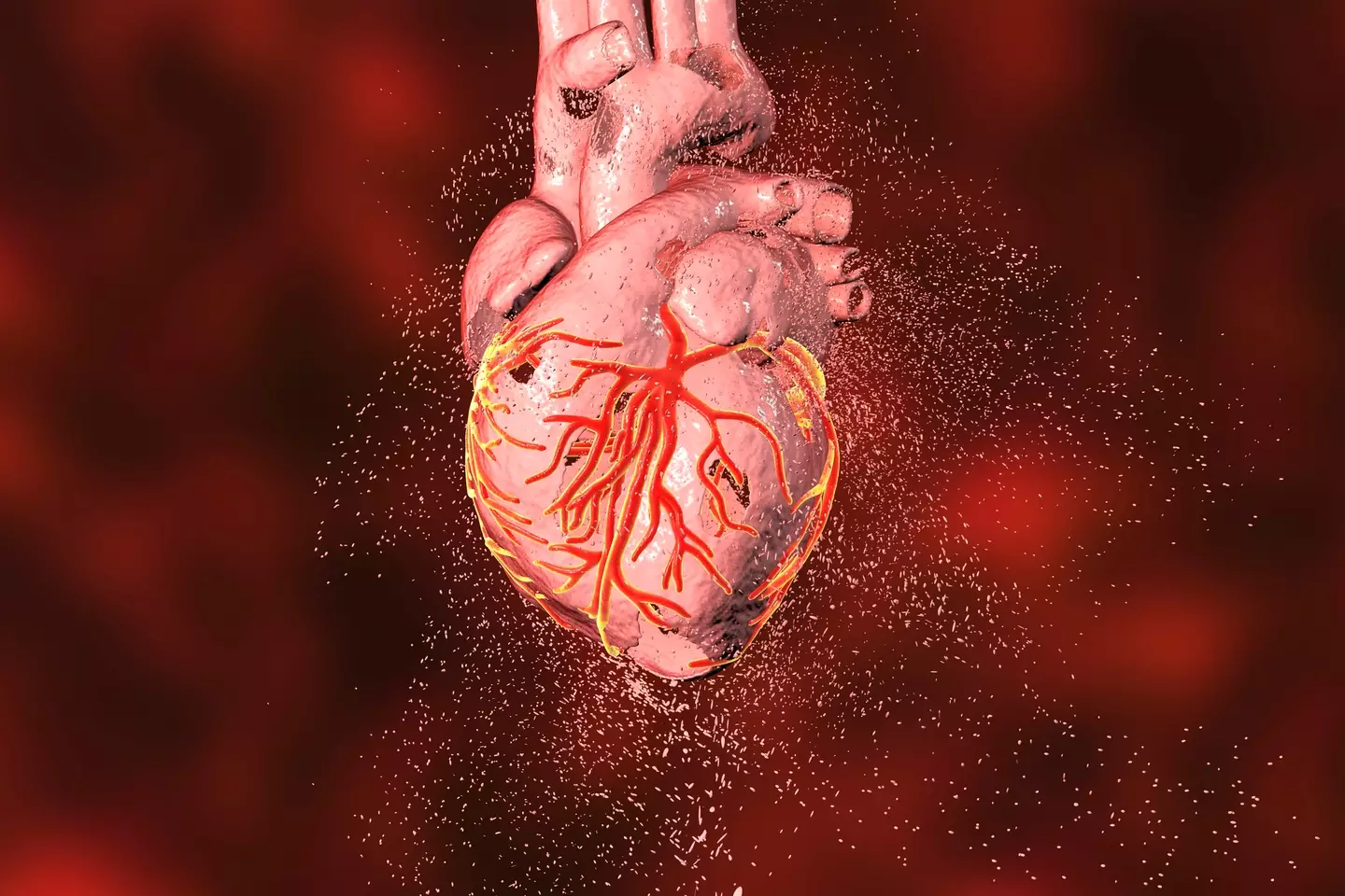 Studies of necrosis could prove vital in extending the human life thanks to a groundbreaking discovery (Getty Stock)