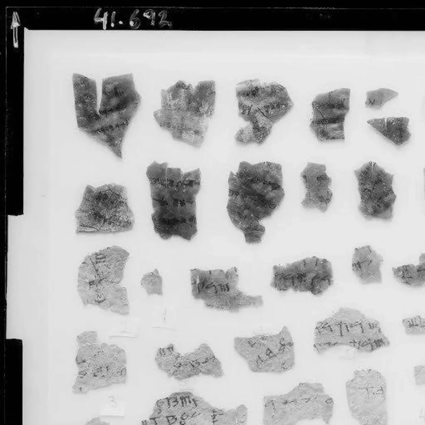 Scientists have spent decades trying to crack the scrolls (The Leon Levy Dead Scrolls Digital Library, Israel Antiquities Authority / Shai Halevi)