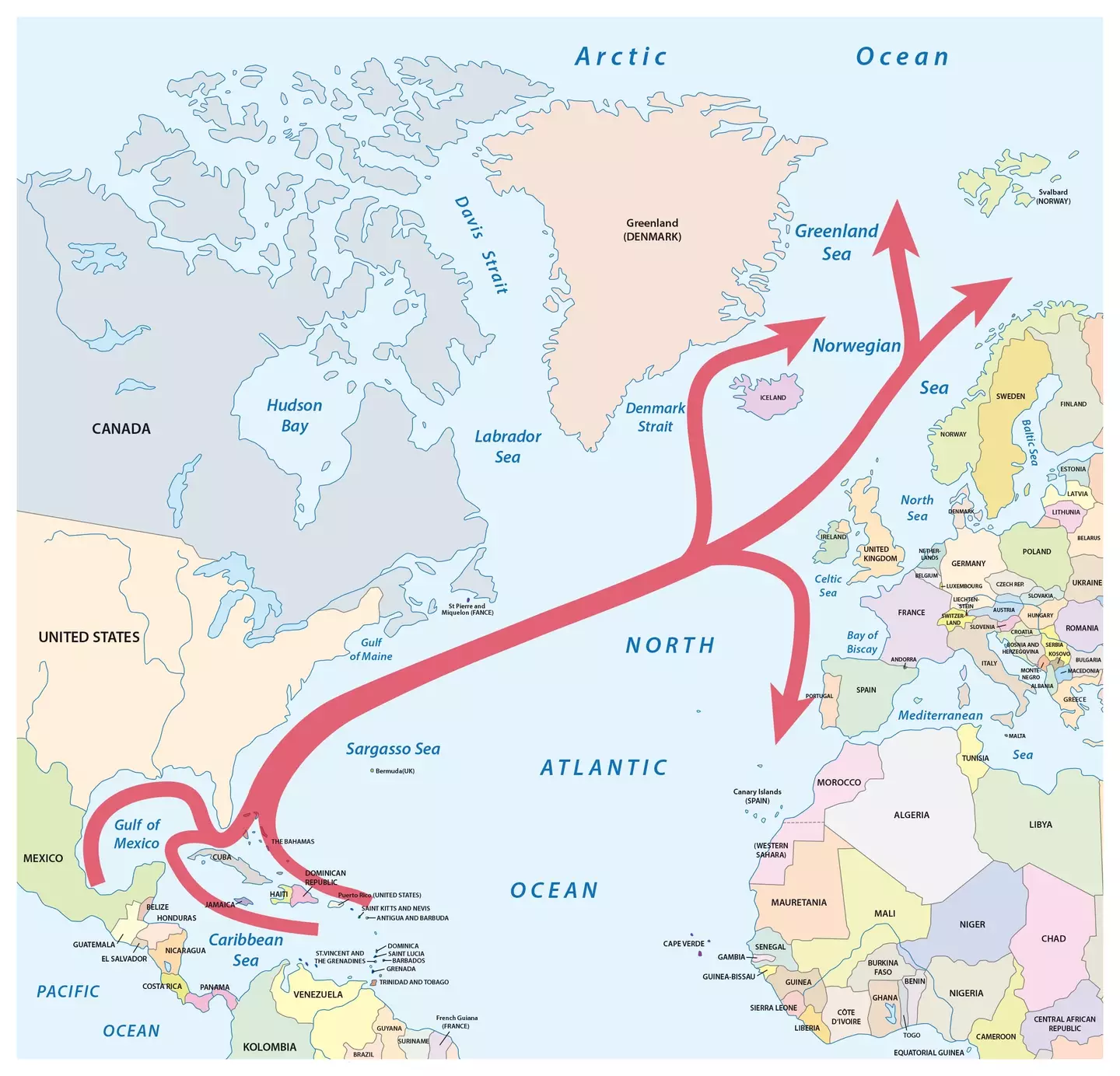 The Gulf Stream is an important part of keeping the oceans moving (Rainer Lesniewski / Getty)