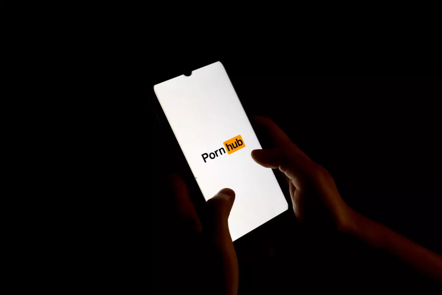 This bill could make all pornography illegal in the US (Nikolas Kokovlis/NurPhoto via Getty Images)
