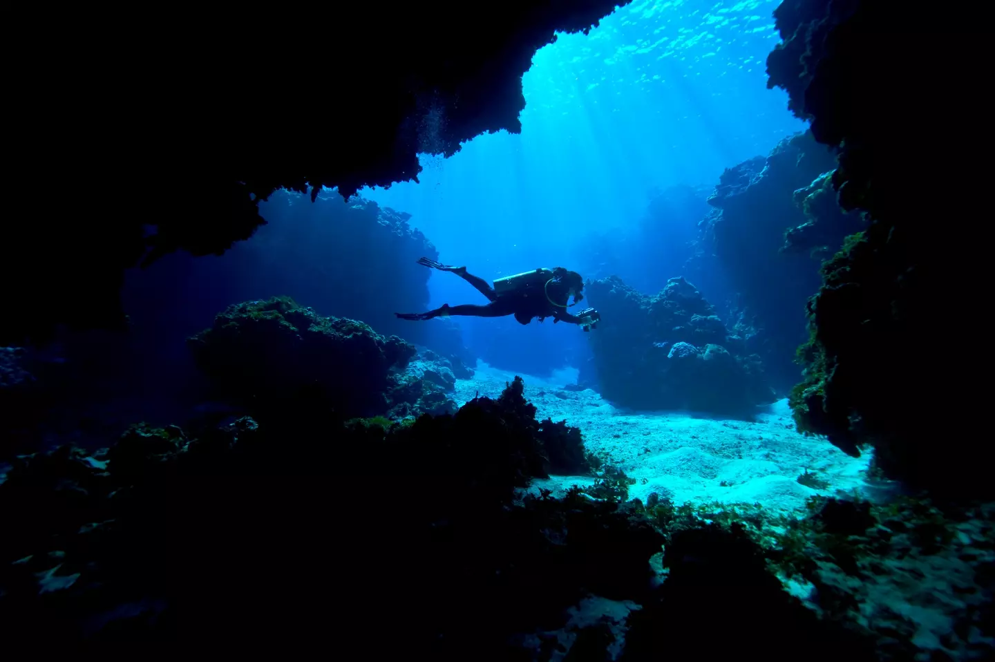 People were shocked to discover what scuba means (Jason Edwards/Getty Images)