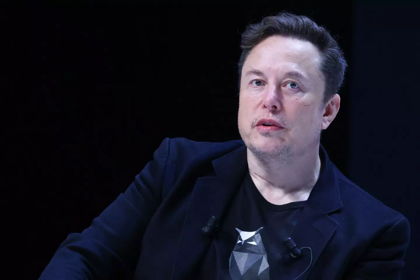 Elon Musk became CEO of Tesla in 2008 (Marc Piasecki/Contributor/Getty Images)