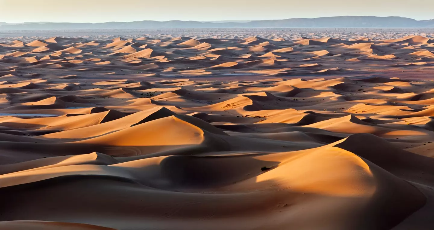 The fragment was found by a meteorite hunter in the Sahara desert (Getty Stock)