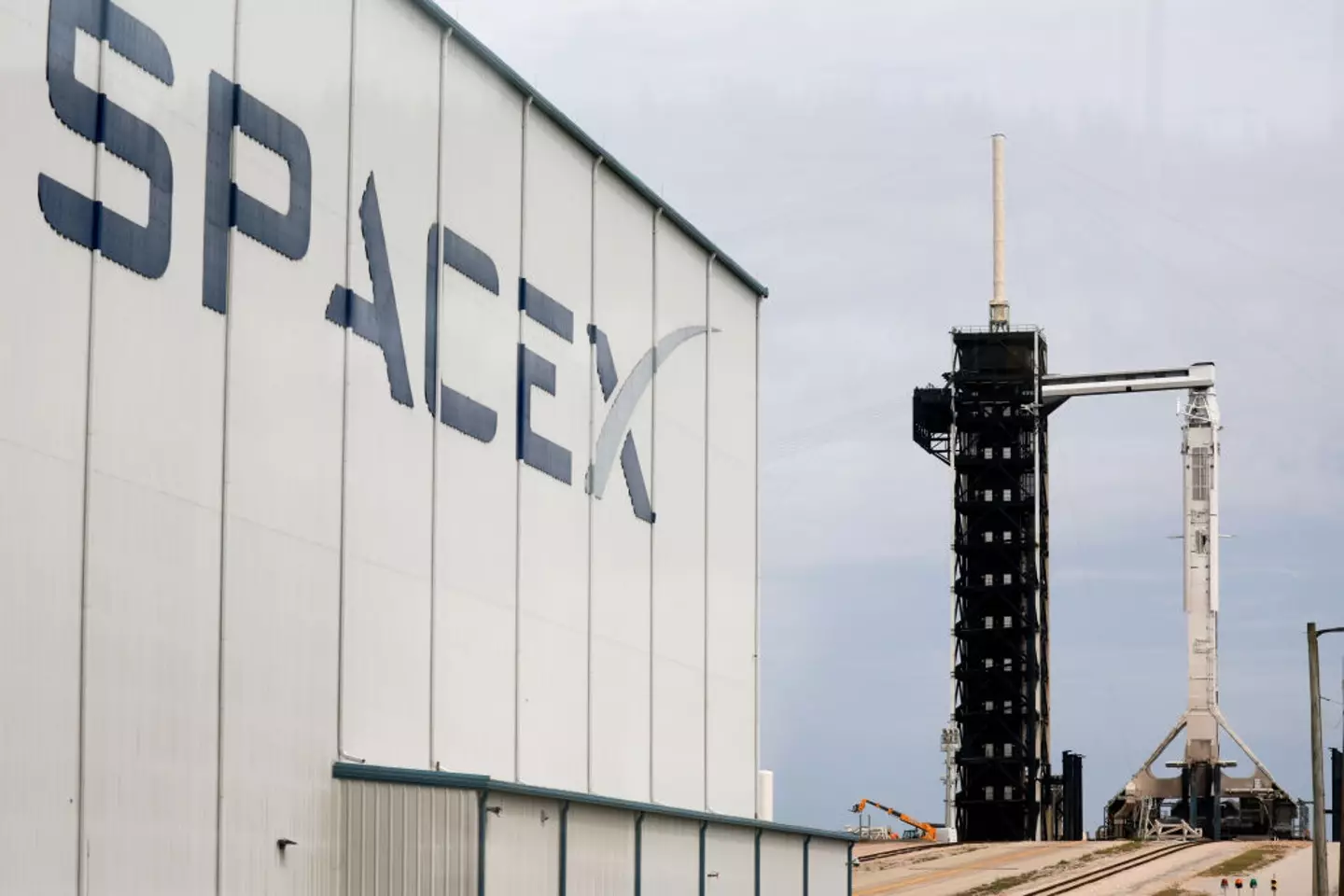 The former employee claims he was fired from SpaceX due to having Crohn's disease (Joe Raedle/Getty Images)