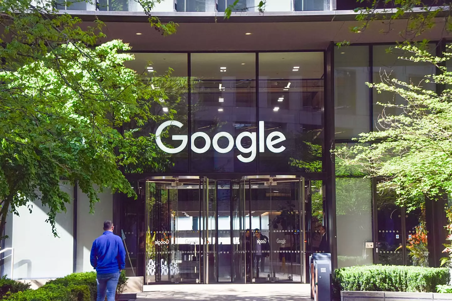 Google's stock price has dropped significantly after Cue's shock statement (Vuk Valcic/SOPA Images/LightRocket via Getty Images)