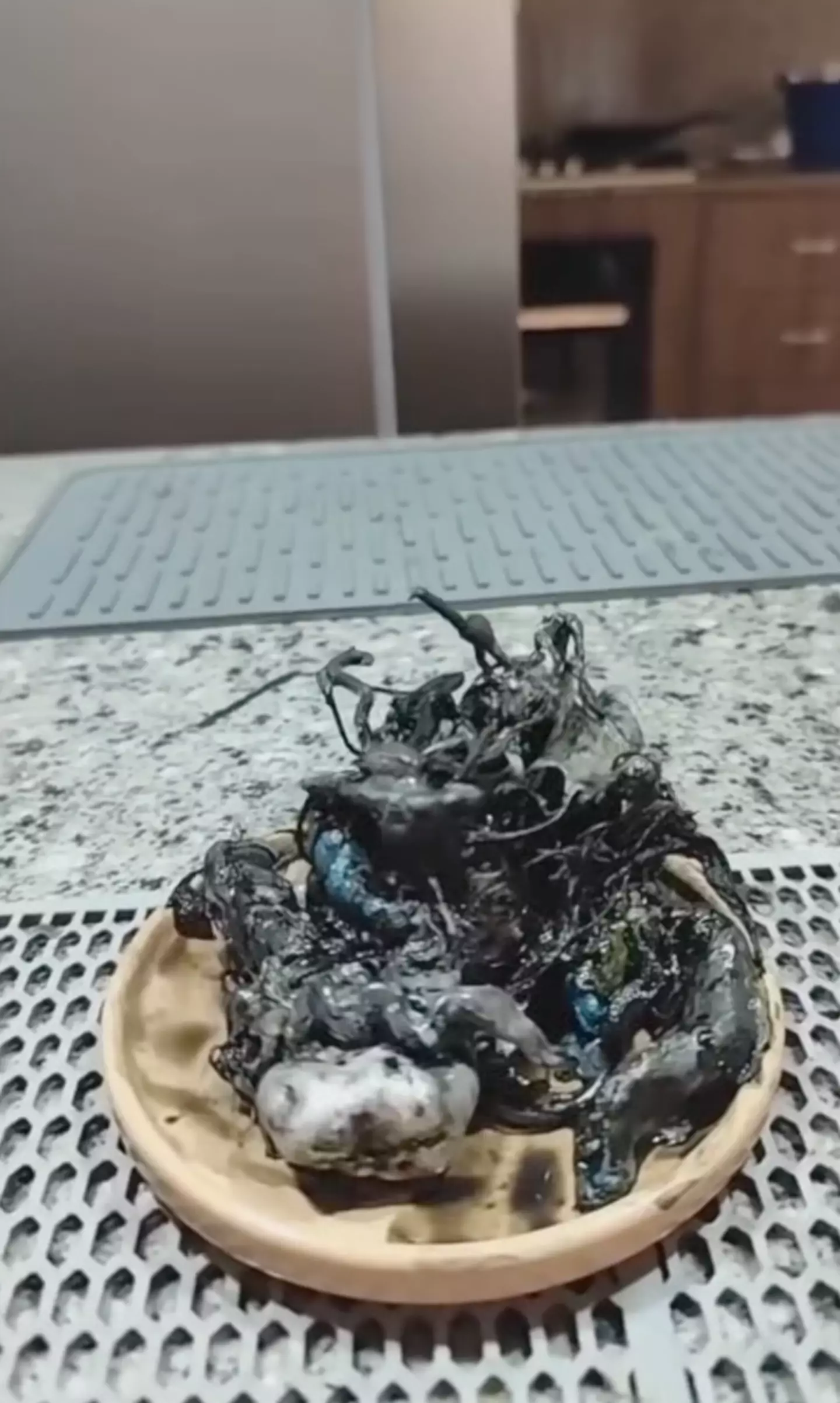 One expert believes that the alien is merely made from polydimethylsiloxane (TikTok/kinpanama)