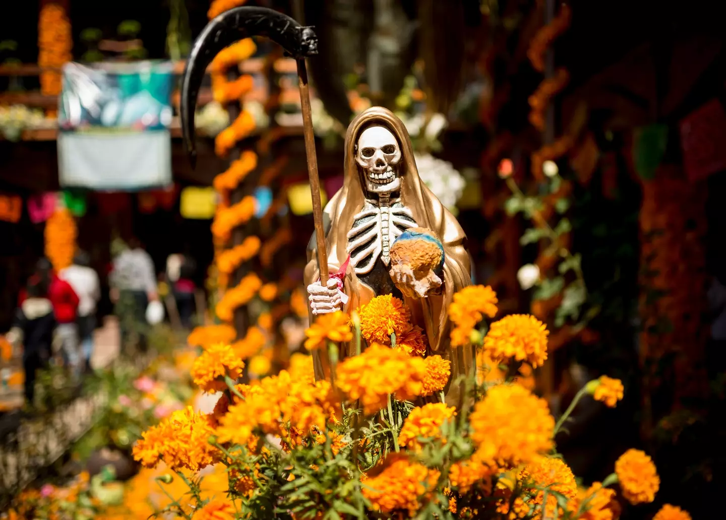 Death continues to dominate Wikipedia (Connect Images / Ben Pipe Photography / Getty)