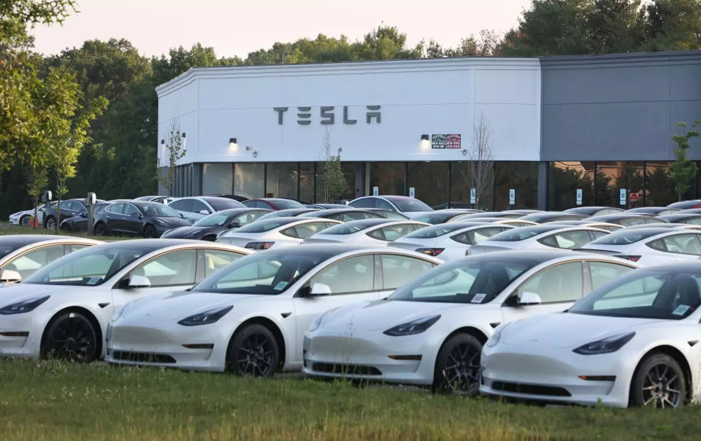 The deal's terms are conditioned on Tesla's performance. (Newsday LLC/Contributor/Getty)