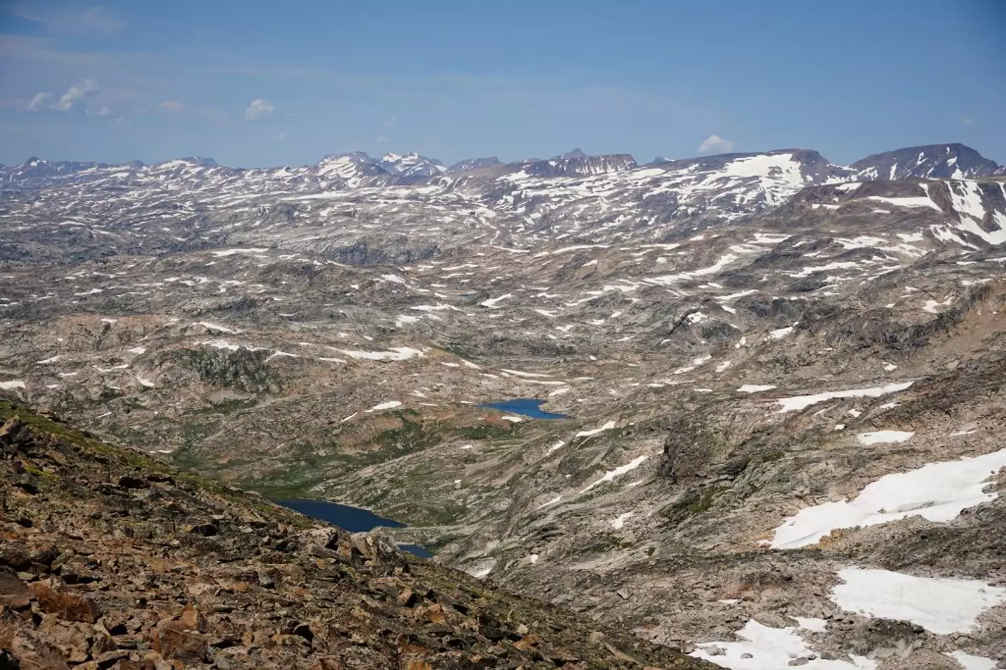 Previously frozen trees have been discovered around 180 meters above the current tree line (ClimberKyle)