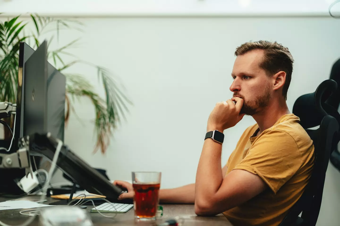 There has been significant push-back on the decision (Tim van der Kuip / Unsplash)
