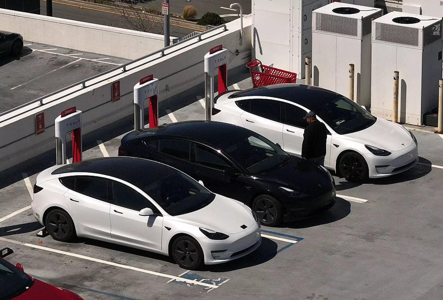 Tesla's future remains in the balance thanks to Elon Musk (Justin Sullivan / Staff / Getty)