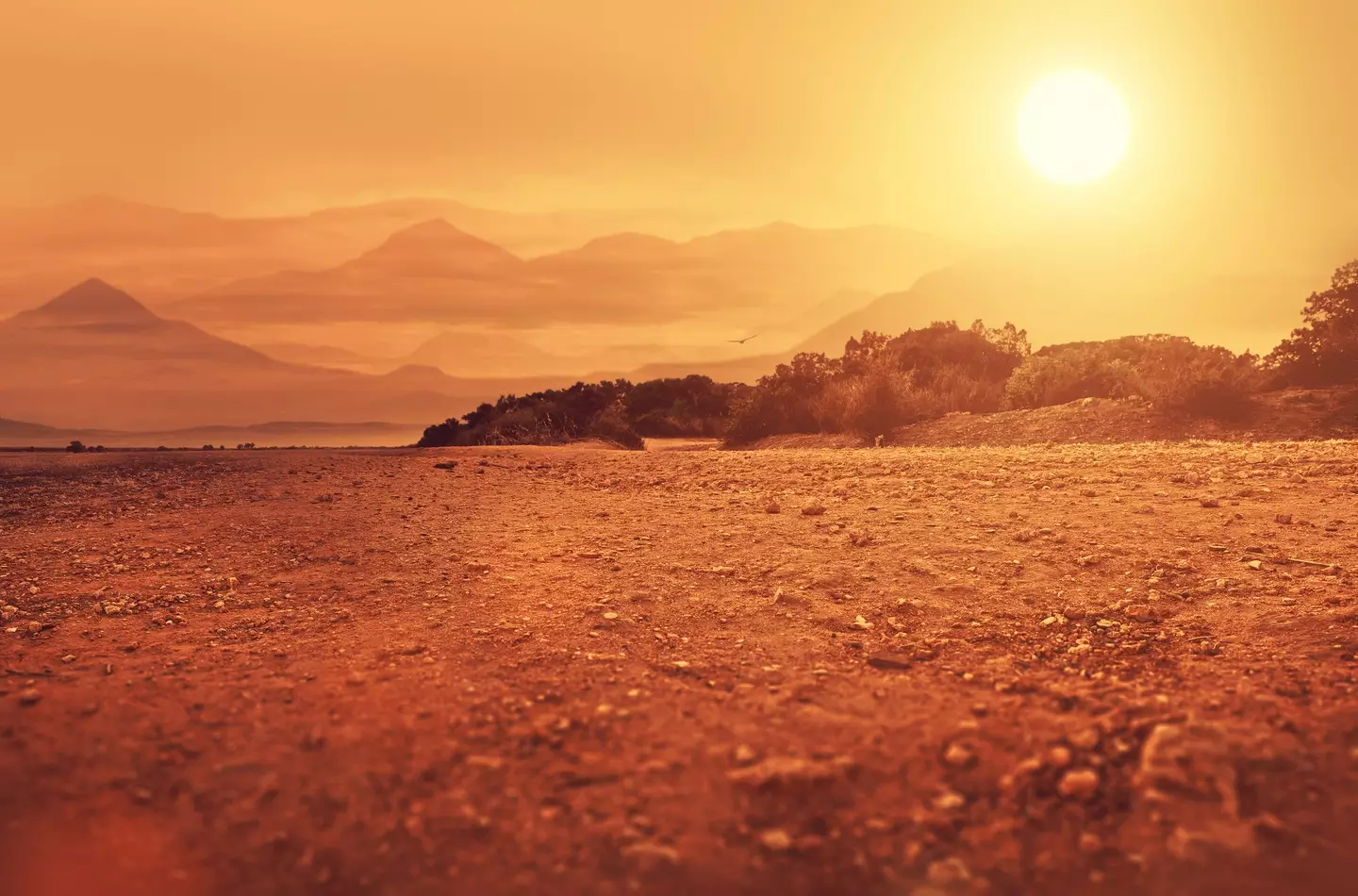 SEAN GLADWELL / Getty