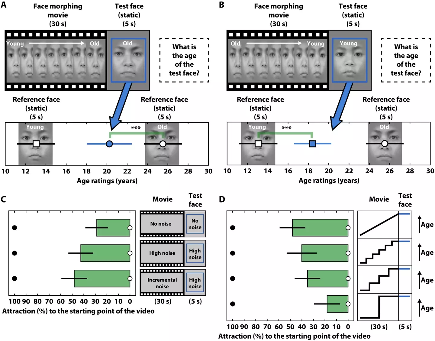 The study conducted experiments which show how our brain merges past images, tricking our eyes into retaining stability (Anthony Cerniello)