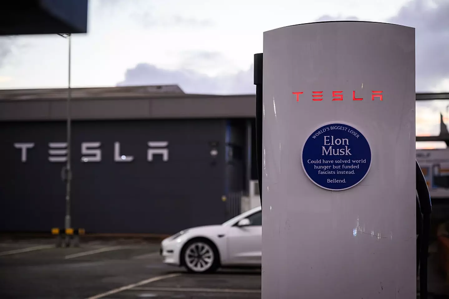 Everyone Hates Elon has continued to target the billionaire (Leon Neal / Staff / Getty)