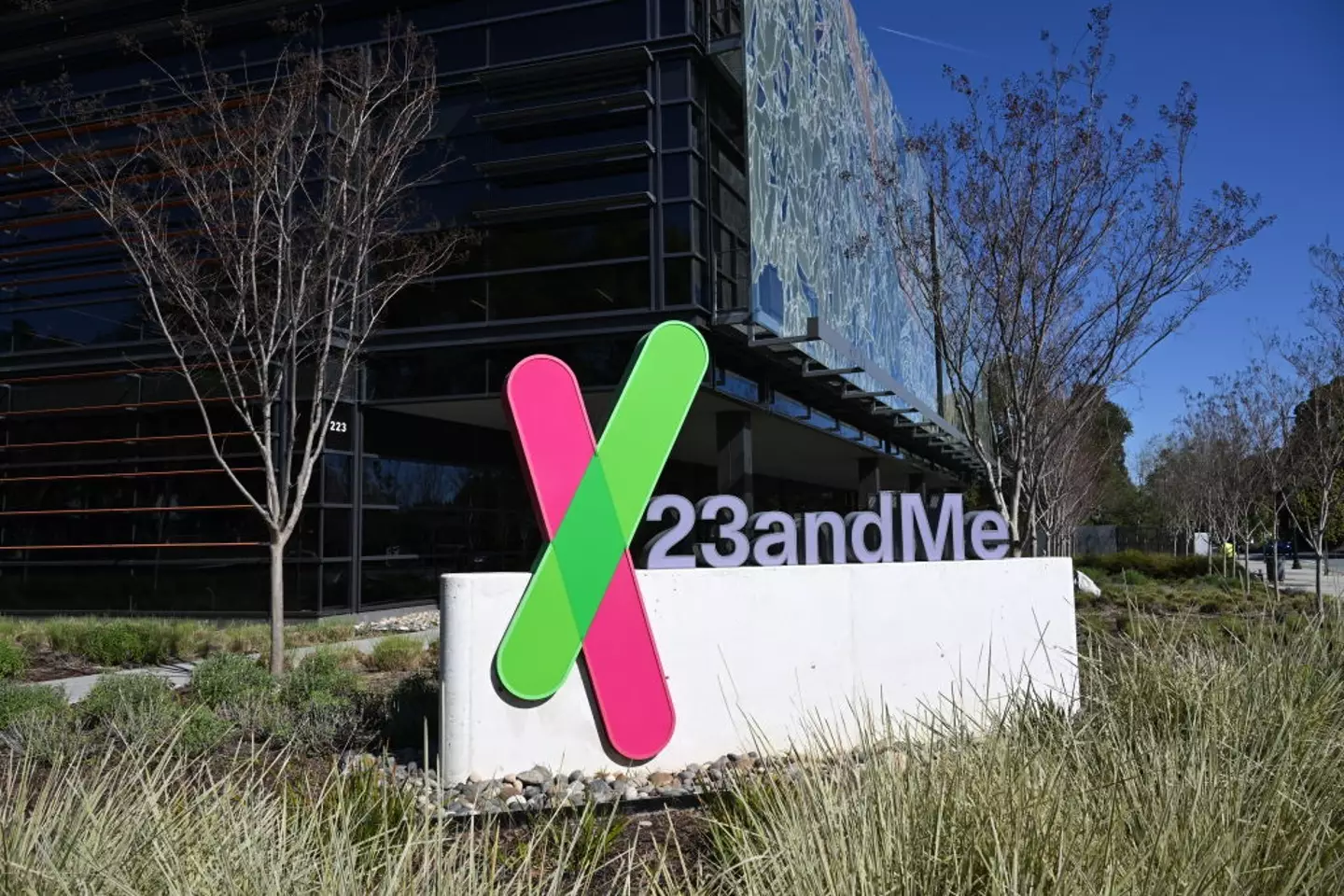 23andMe has been hit with a huge fine (Tayfun Coskun/Anadolu via Getty Images)