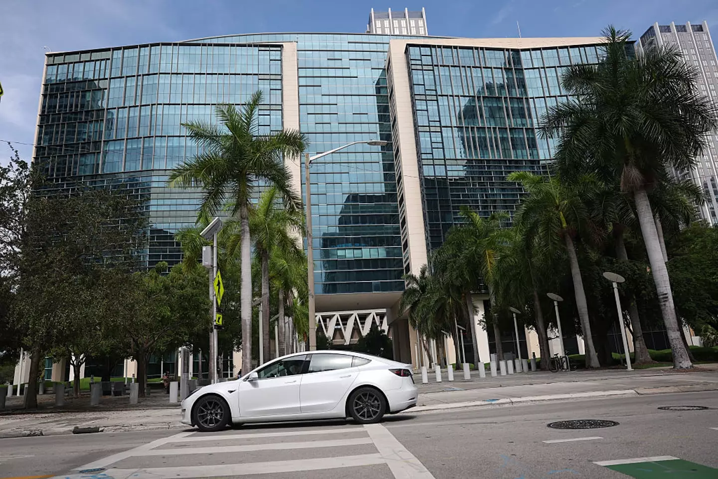 Tesla has to pay the plaintiffs a total of $242,600,000 as a result of the case (Joe Raedle/Getty Images)