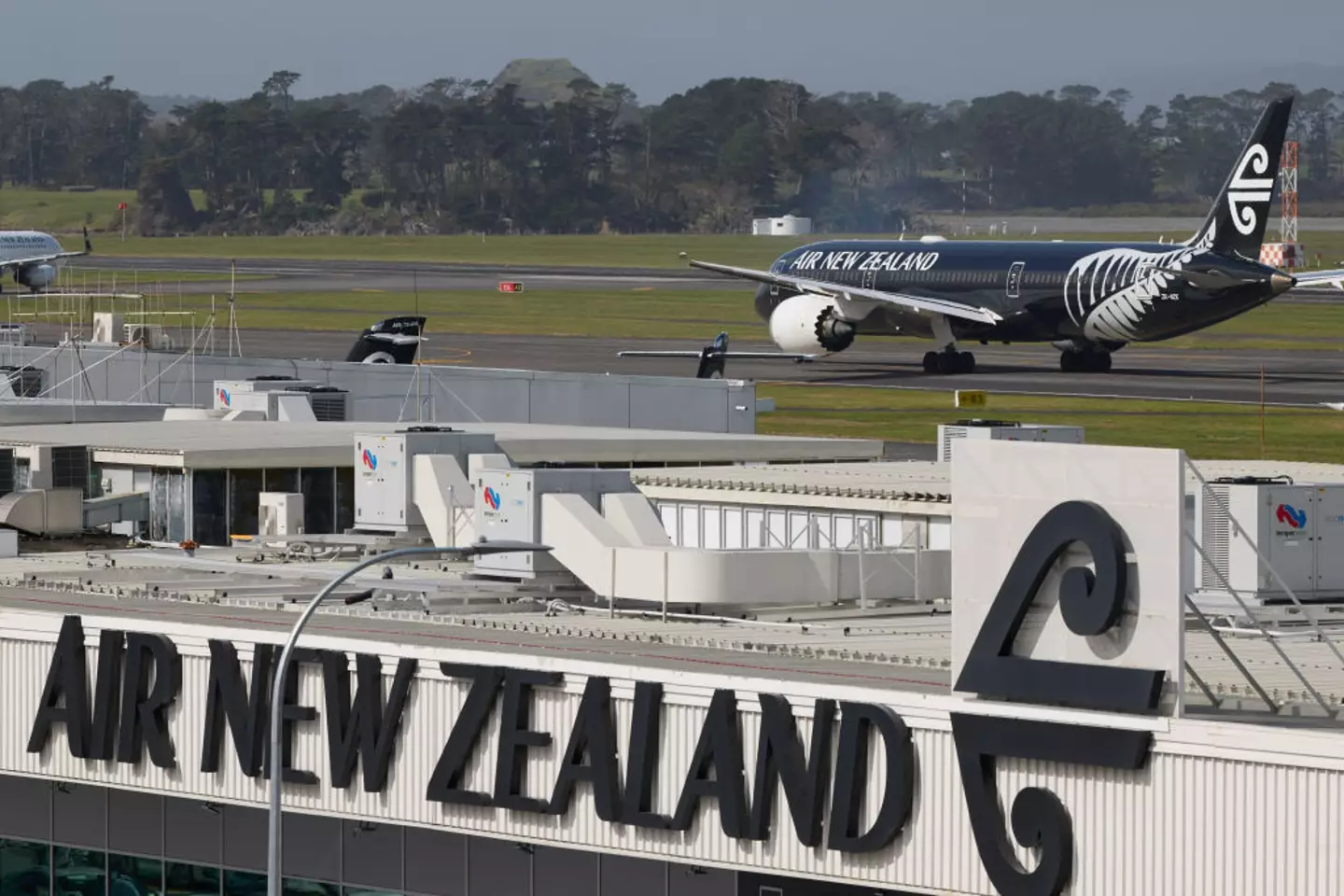 The plane does technically stop for 2 hours in Auckland, but it's not classified as a changeover (Brendon O'Hagan/Bloomberg via Getty Images)