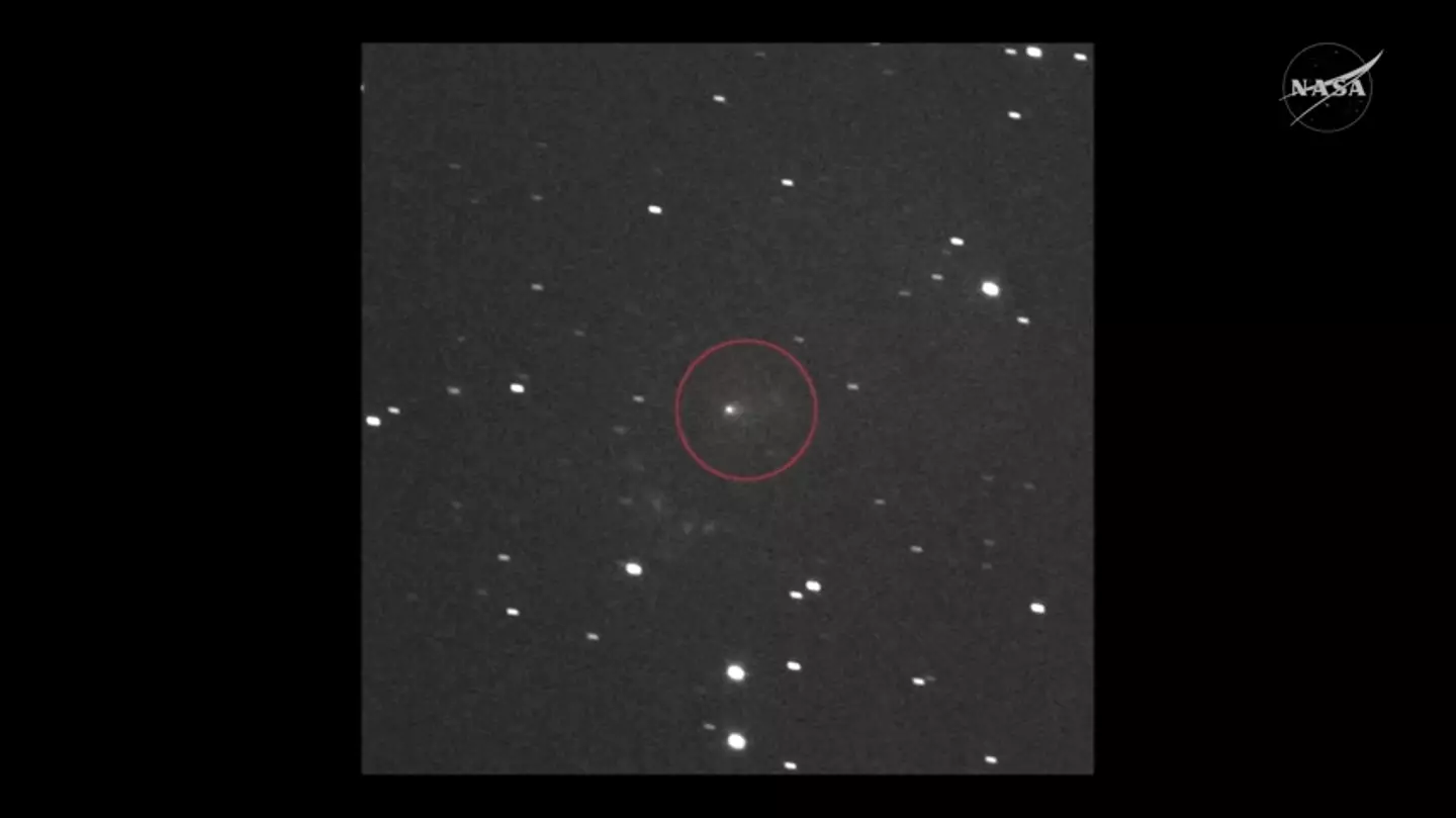 The government information agency has refused to comment either way on the comet, making some wonder whether there's something to be hidden (NASA)